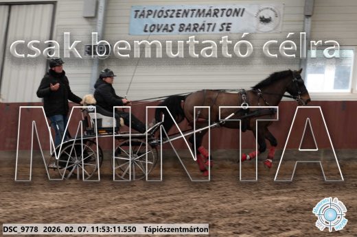 Mintakép 20260207-926