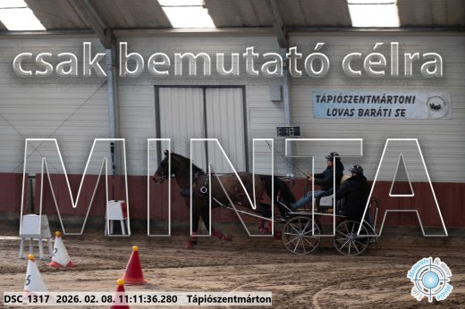 Mintakép 20260208-1539