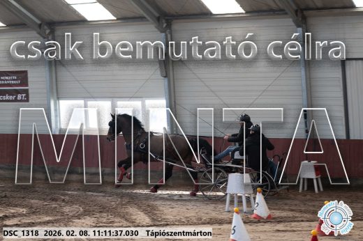 Mintakép 20260208-1540