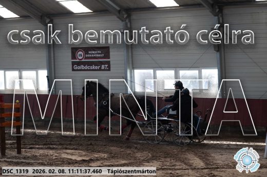 Mintakép 20260208-1541