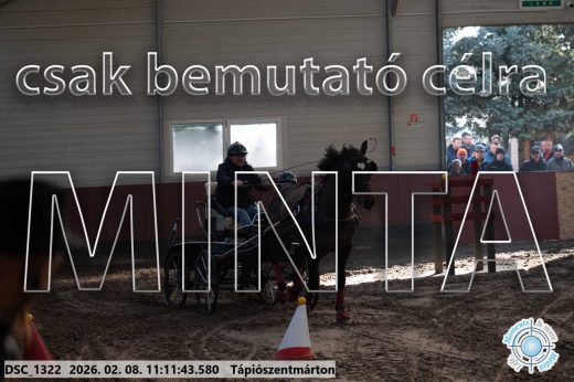 Mintakép 20260208-1543