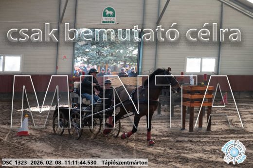 Mintakép 20260208-1544