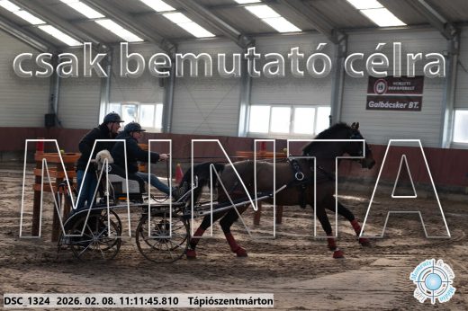 Mintakép 20260208-1545