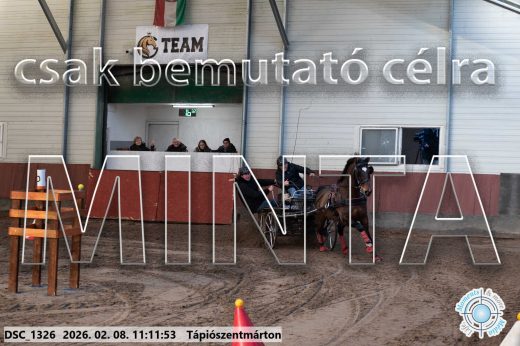 Mintakép 20260208-1547