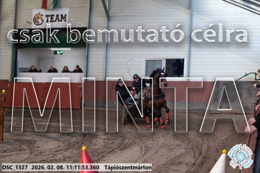 Mintakép 20260208-1548
