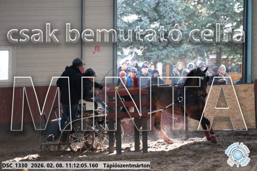 Mintakép 20260208-1551