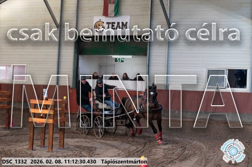 Mintakép 20260208-1553