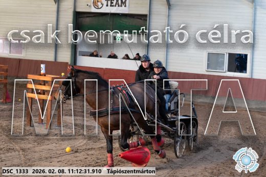 Mintakép 20260208-1554
