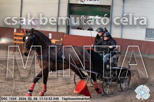 Mintakép 20260208-1555