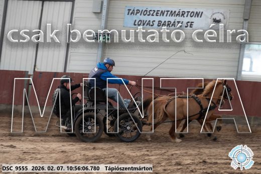 Mintakép 20260207-930