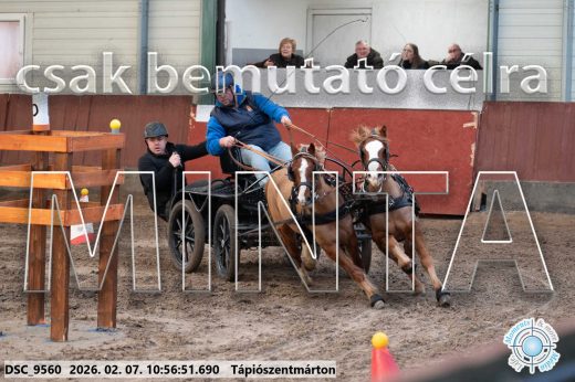 Mintakép 20260207-935