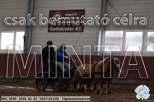 Mintakép 20260207-937