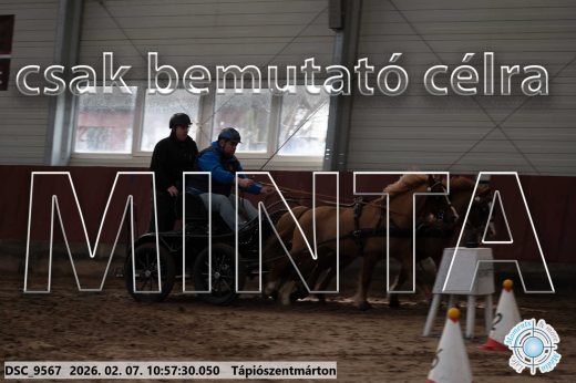 Mintakép 20260207-938