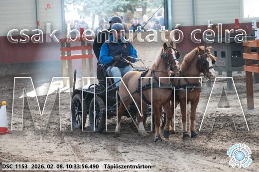Mintakép 20260208-1559