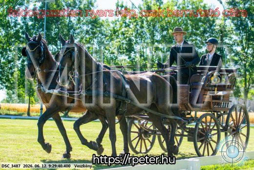 Mintakép 20260612-318