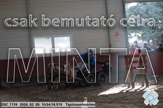 Mintakép 20260208-1565