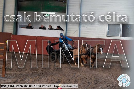 Mintakép 20260208-1570