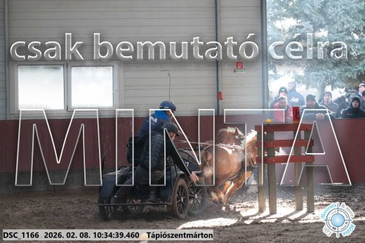 Mintakép 20260208-1572