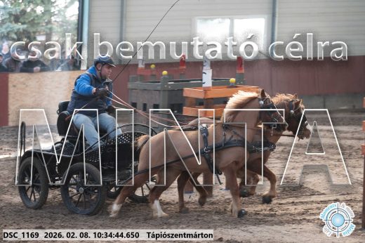 Mintakép 20260208-1575