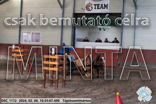 Mintakép 20260208-1577