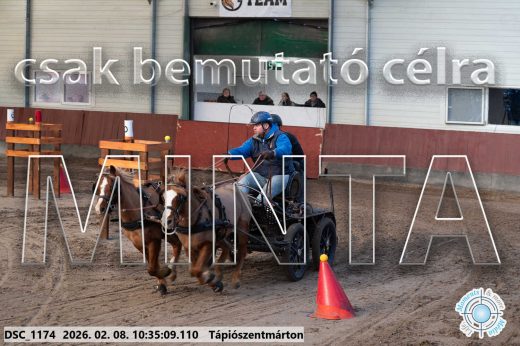 Mintakép 20260208-1579