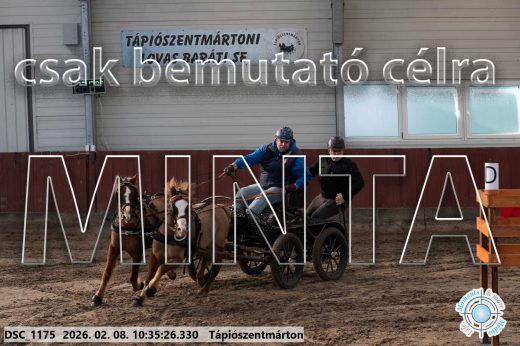 Mintakép 20260208-1580