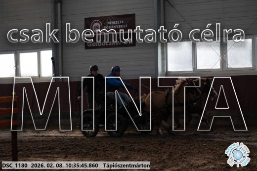 Mintakép 20260208-1584