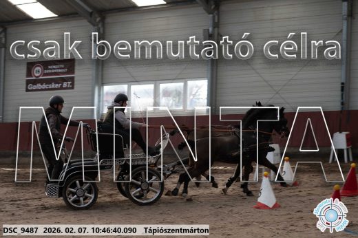 Mintakép 20260207-943