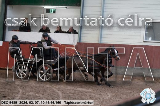 Mintakép 20260207-945