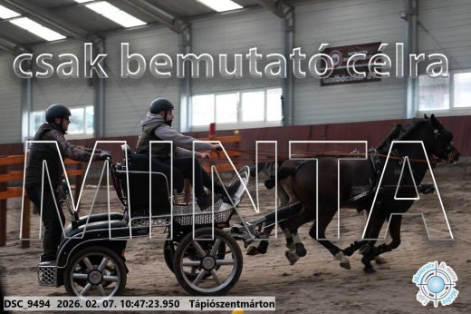Mintakép 20260207-949