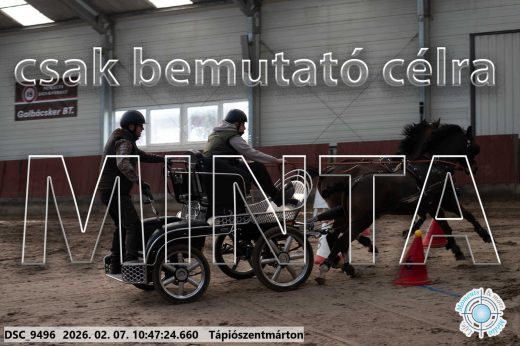 Mintakép 20260207-950