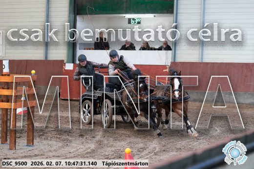 Mintakép 20260207-954