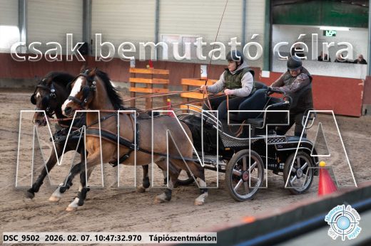 Mintakép 20260207-956