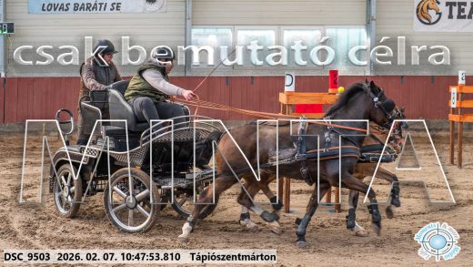 Mintakép 20260207-957
