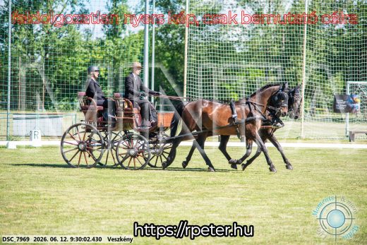 Mintakép 20260612-323