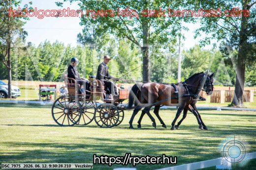 Mintakép 20260612-324