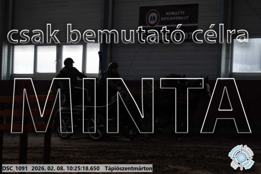Mintakép 20260208-1599