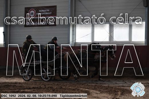 Mintakép 20260208-1600