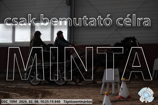 Mintakép 20260208-1602