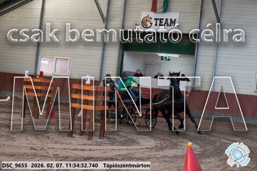 Mintakép 20260207-968