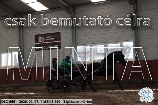 Mintakép 20260207-973