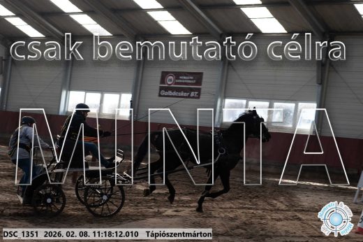 Mintakép 20260208-1607