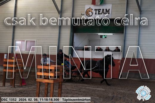 Mintakép 20260208-1608