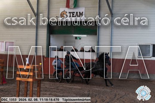 Mintakép 20260208-1609
