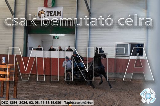 Mintakép 20260208-1610