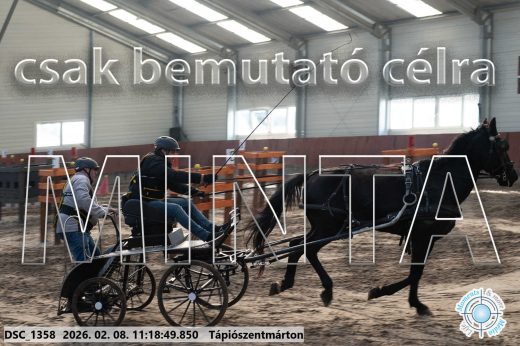 Mintakép 20260208-1614