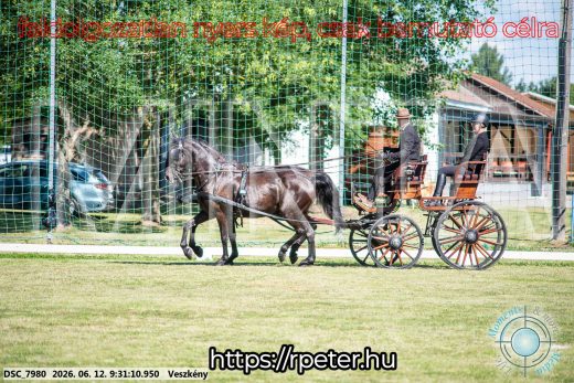 Mintakép 20260612-327