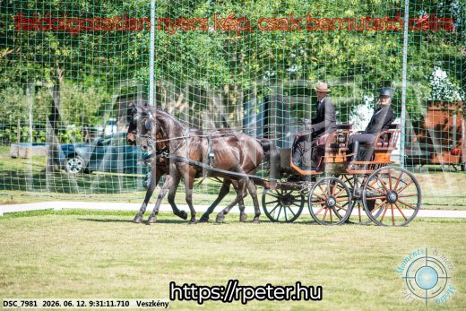 Mintakép 20260612-328