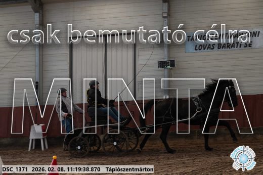 Mintakép 20260208-1626