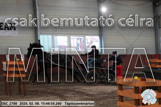 Mintakép 20260208-1631